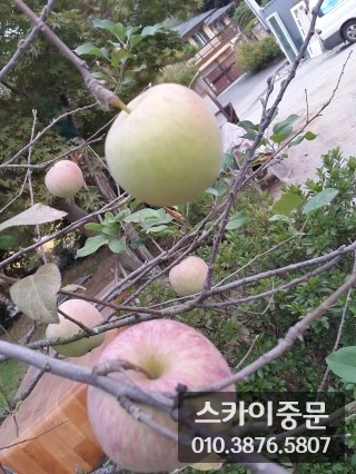 사진69_066.jpg